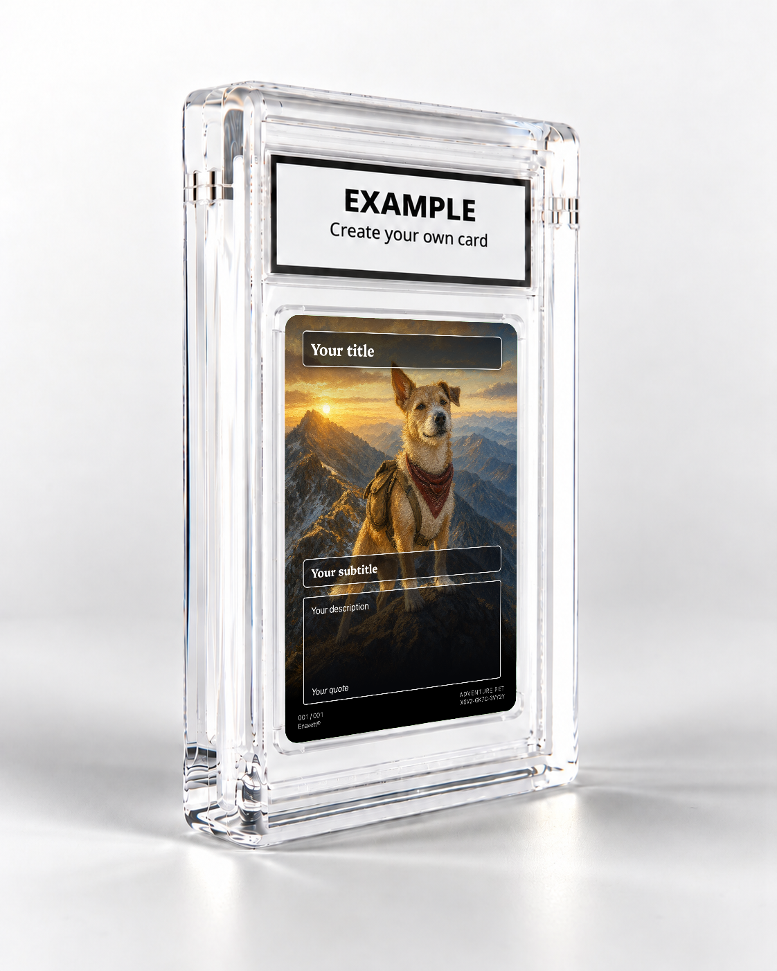 Adventure Pet trading card in its display case