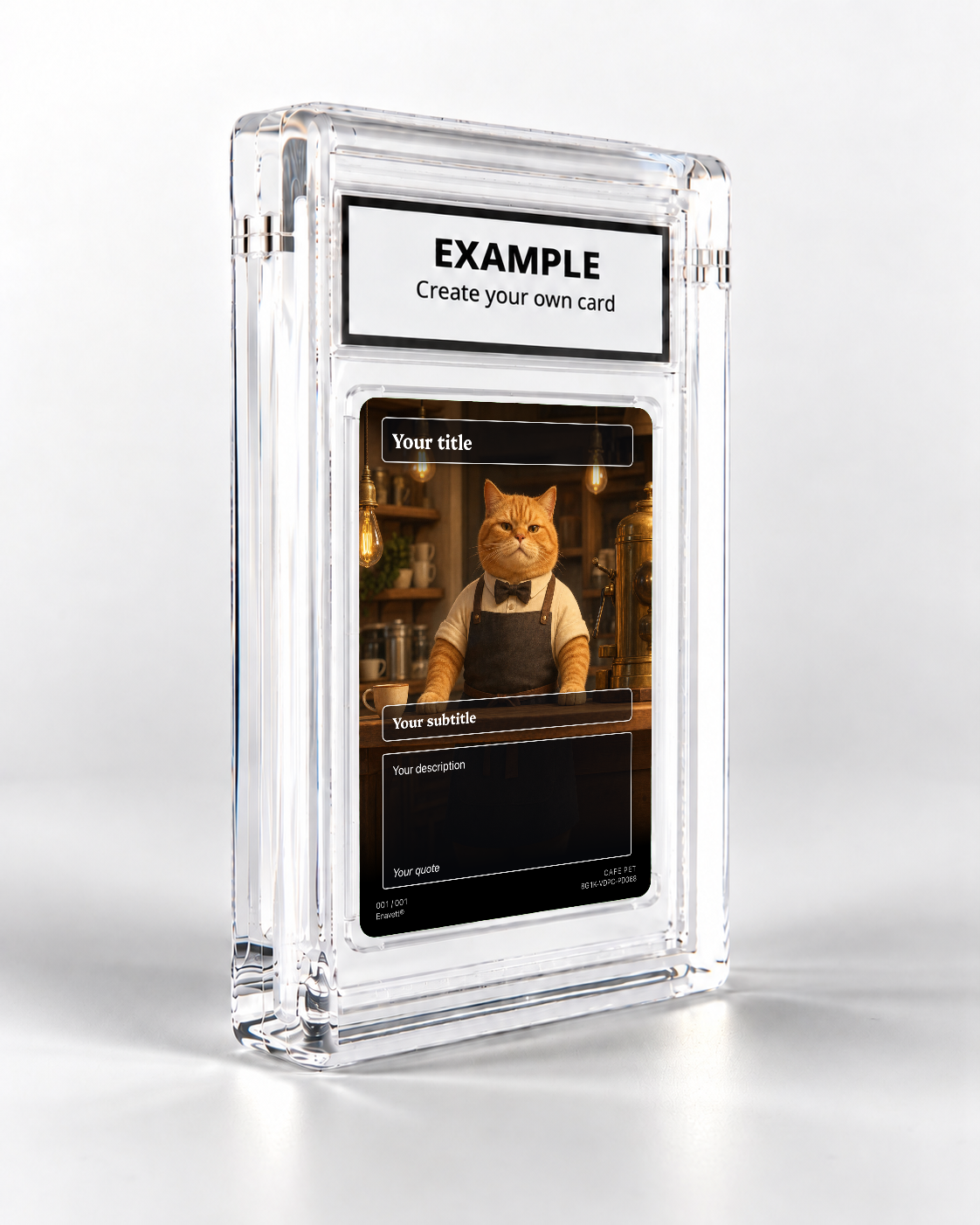 Cafe Pet trading card in its display case